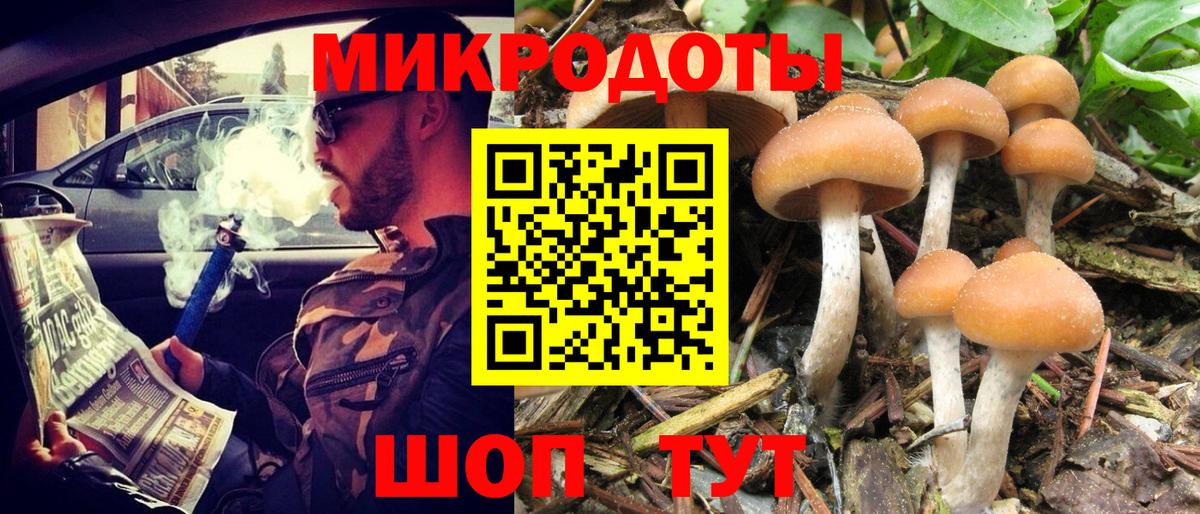 Галлюциногенные грибы GOLDEN TEACHER Мичуринск