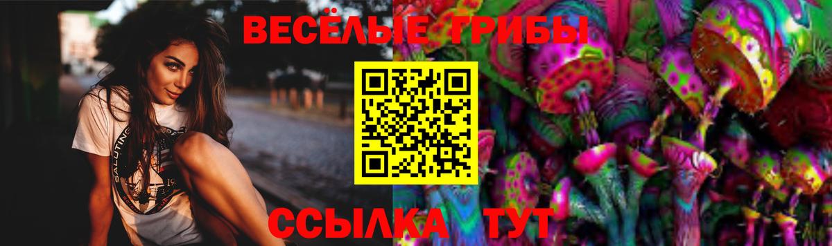 Галлюциногенные грибы MAGIC MUSHROOMS  Псилоцибиновые грибы Magic Shrooms  Вход с VPN  Мичуринск 